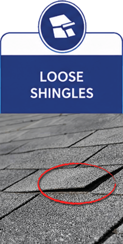 Loose Shingles