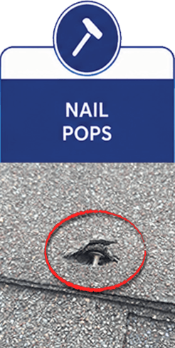 Nail Pops