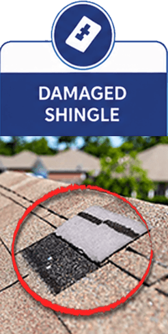 Damaged Shingle